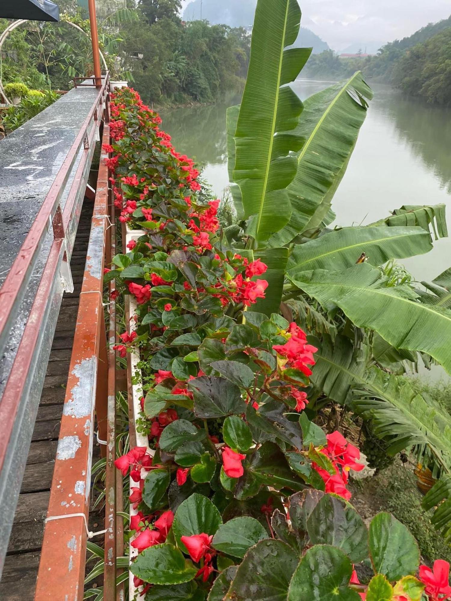 Garden Villa Homestay And Tour Motorbike&Car For Rent Ha Giang Dış mekan fotoğraf